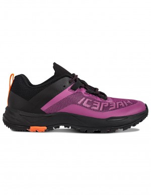 Buty Trekkingowe Damskie Icepeak Aigio Low-cut Bordowe Czarne | Polska-TAI790431