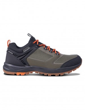 Buty Trekkingowe Męskie Icepeak Adour2 Low-cut Oliwkowe Ciemny Szare | Polska-YHV104859