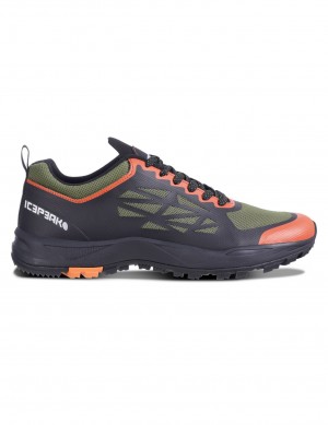 Buty Trekkingowe Męskie Icepeak Andulo Outdoor Oliwkowe Czarne | Polska-QBU914025